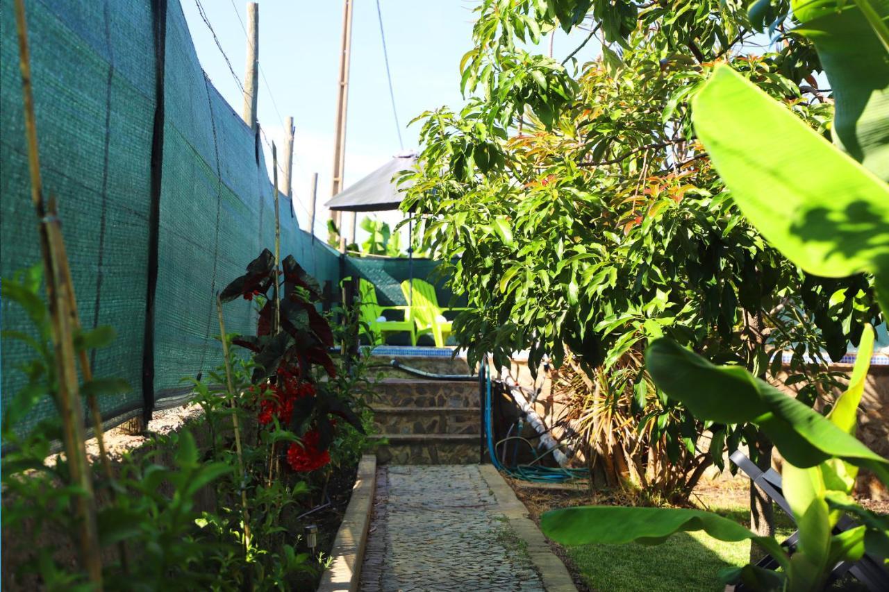 O Quadradinho Apartment Tavira Ngoại thất bức ảnh